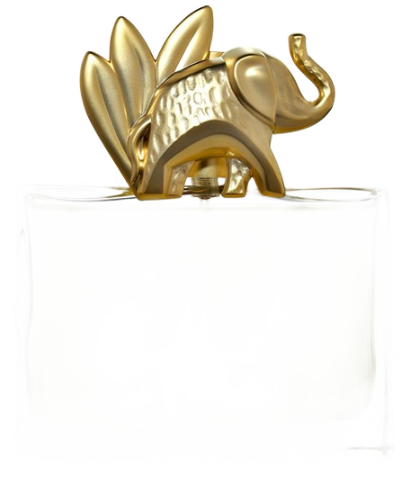 عطر کنزو جنگل | Kenzo Jungle L'Elephant